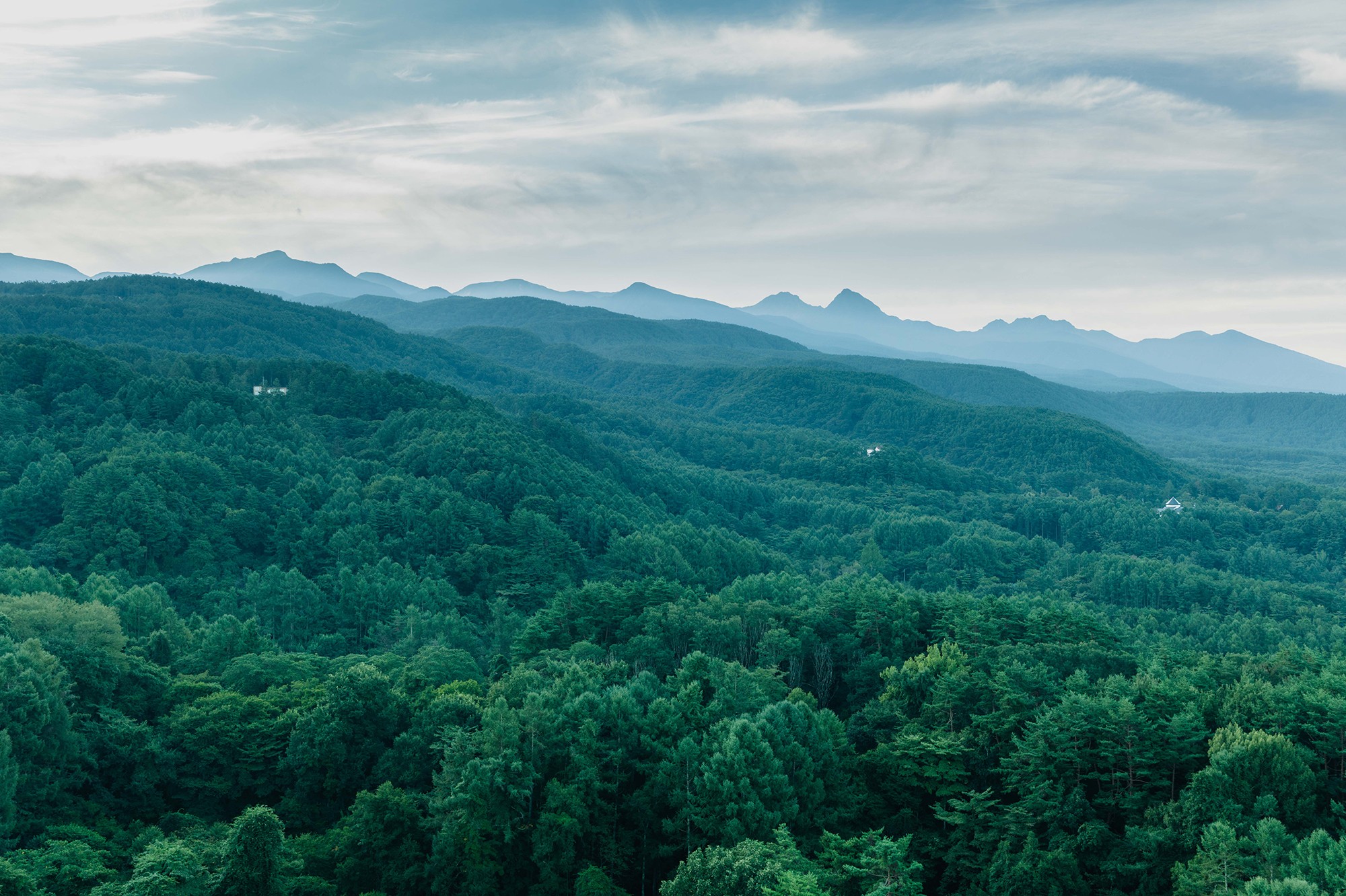 SANU Regenerative Action Report