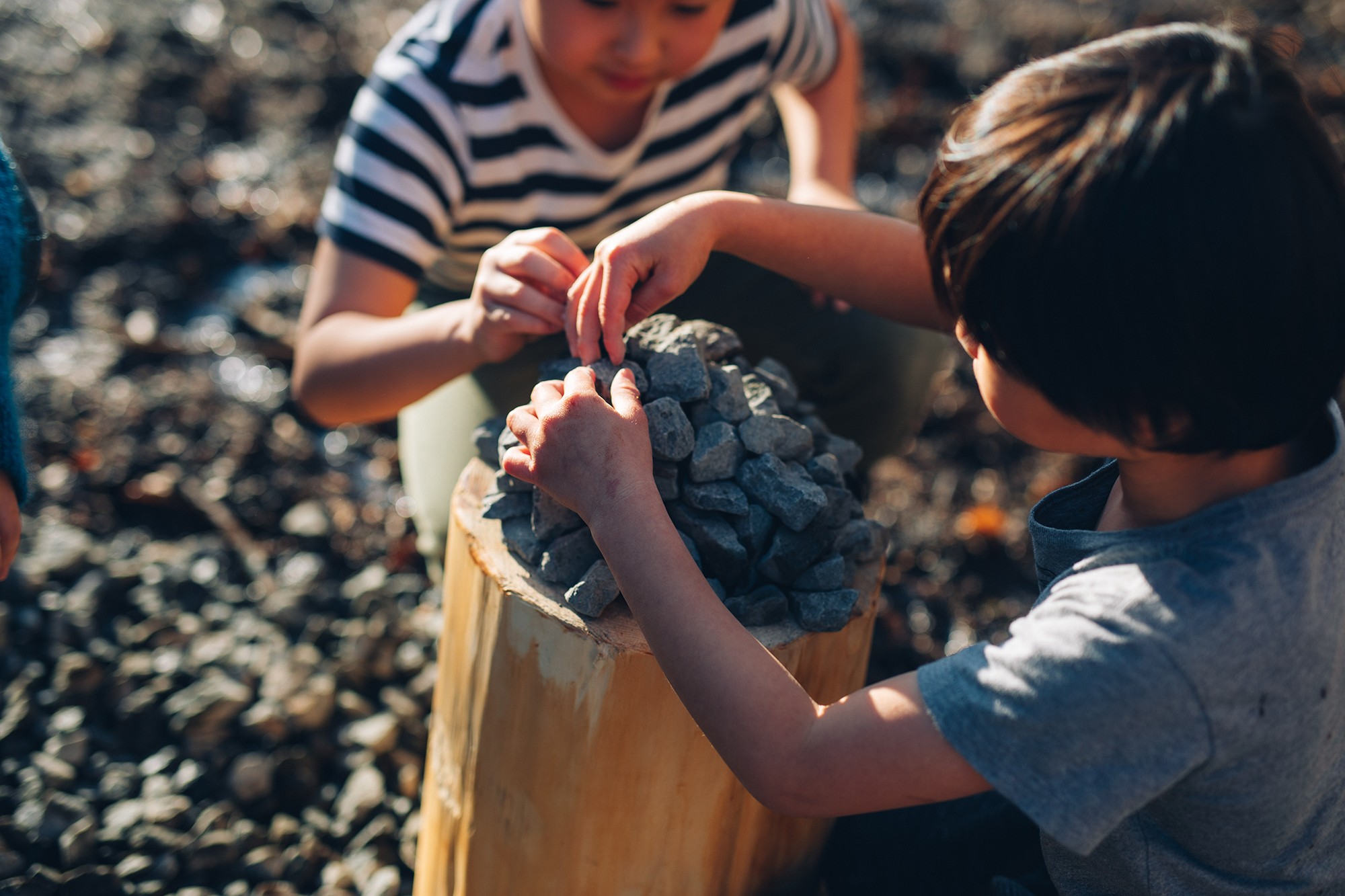 SANU Regenerative Action Report